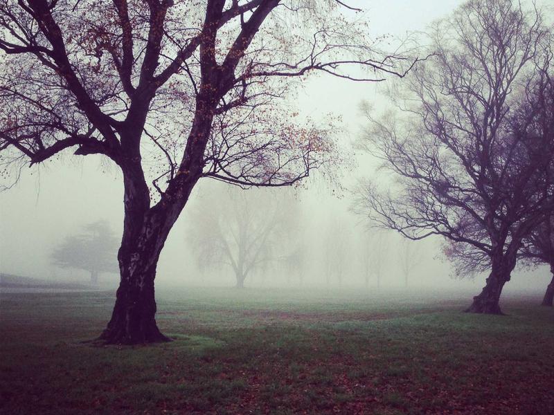 清洗工坊<br>僵尸粉清理与活粉筛选